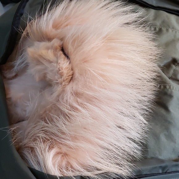 Alessandra Chamonix fur trim anorak jacket - Picture 5 of 6